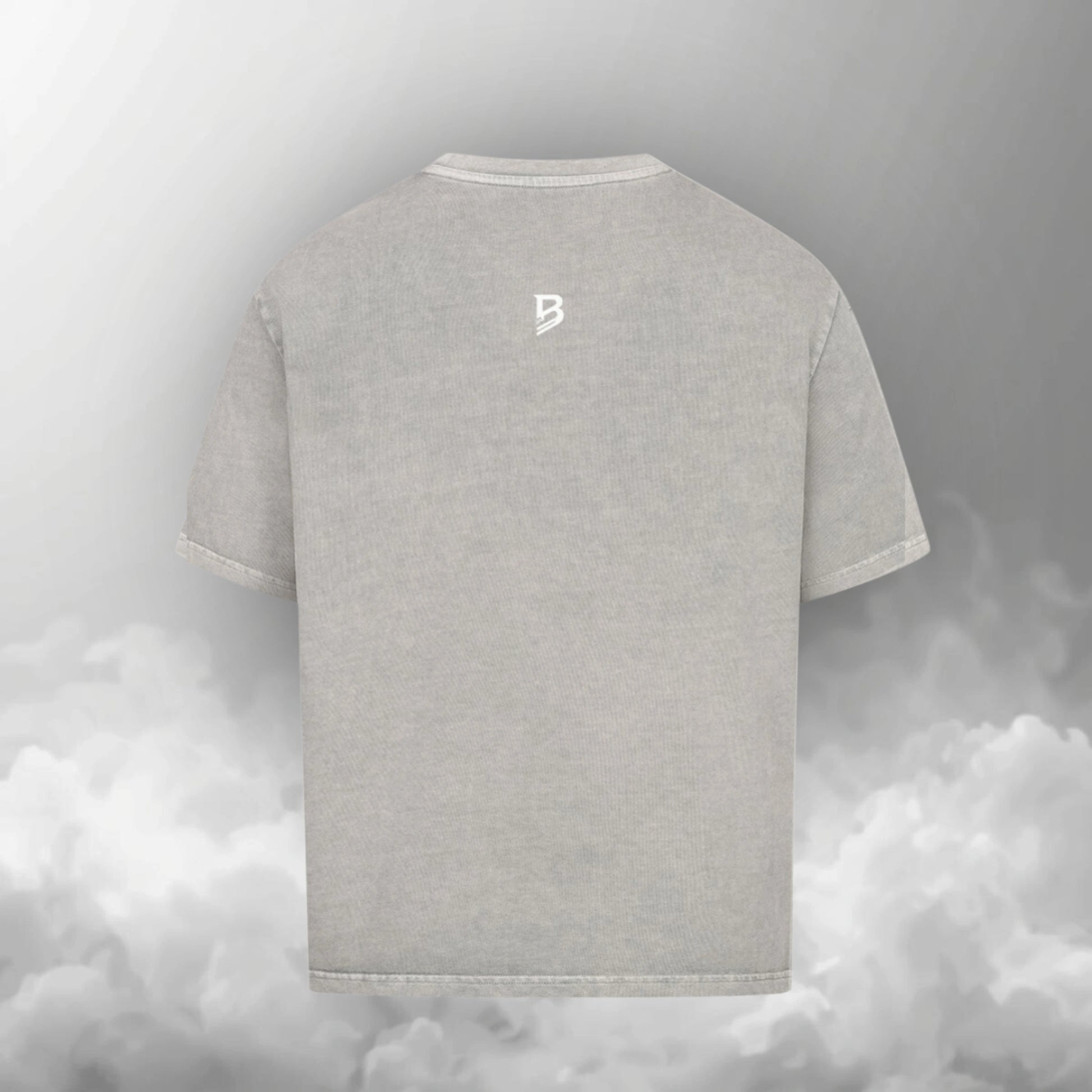 TheBroShop Hive Skull Oversize T-Shirt Herren – Grau – Rückansicht